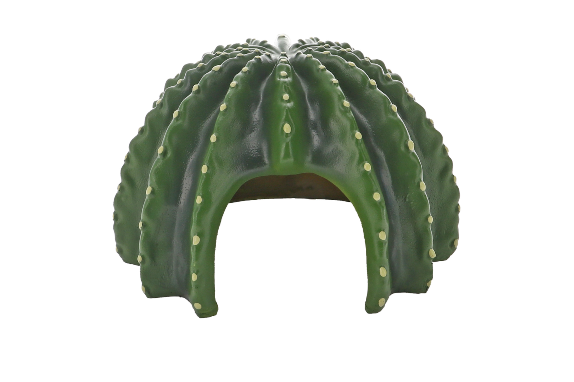 Hobby Cactus Home 2